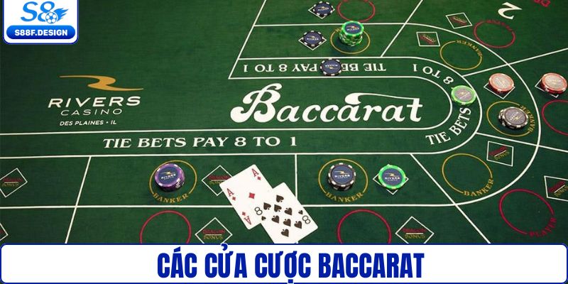 Các cửa cược trong bài baccarat